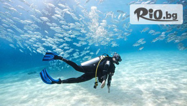 Водолазен център DUE - thumb 4