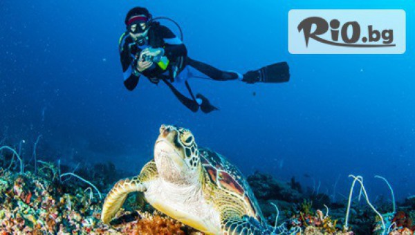 Водолазен център DUE - thumb 2