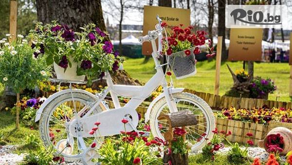 ТА Поход - thumb 3