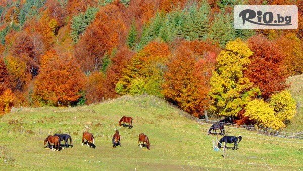 Ранчо Диви Родопи - thumb 3