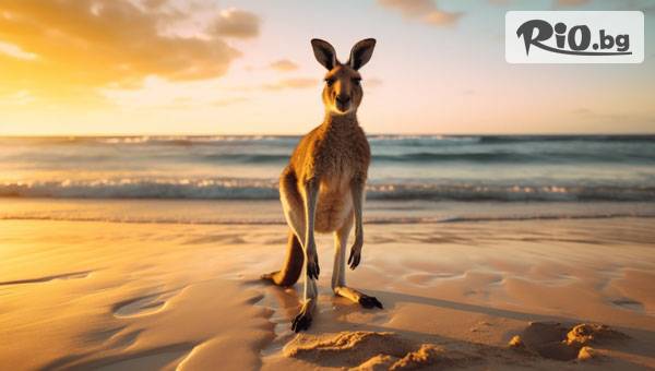 Арена Холидейз - thumb 5