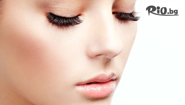 Студио Avangard - thumb 2