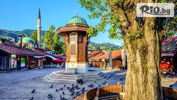 Глобул Турс - thumb 2