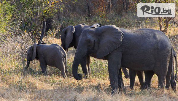 Премио Травел - thumb 4