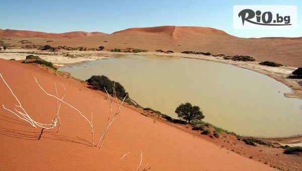 Премио Травел - thumb 5