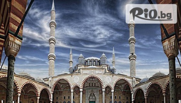 Теско груп - thumb 7