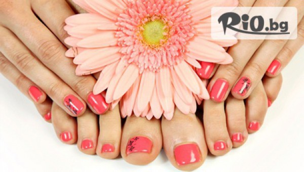 Салон Алая 2 - thumb 2