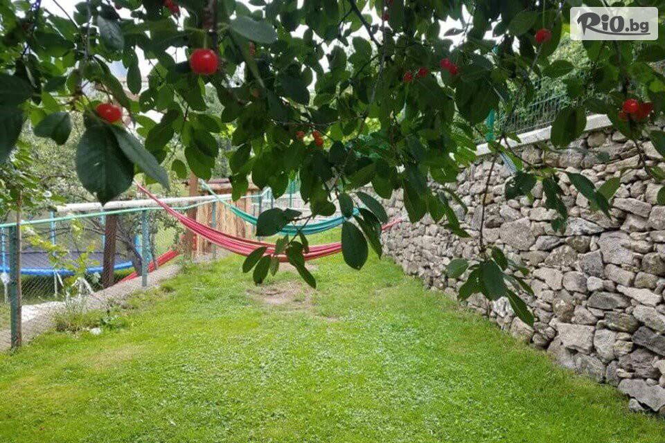 Хотел-механа Даффи - thumb 9 Хотел-механа Даффи - thumb 9