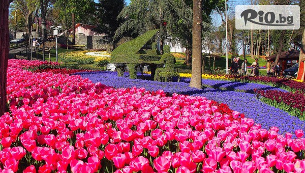 Караджъ Турс - thumb 4