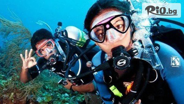 Nemo Diving Center Bulgaria локация гр. Несебър - thumb 2