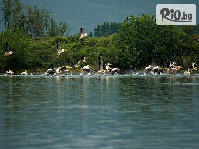 Туристическа агенция "ГЛОБУС ТУР" - thumb 1 Туристическа агенция "ГЛОБУС ТУР" - thumb 1