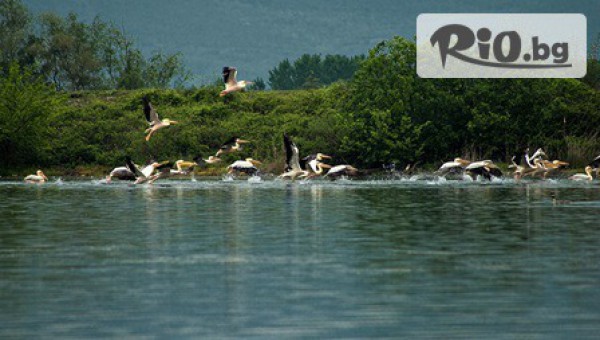 Еднодневна екскурзия до езерото Керкини в Гърция, с тръгване от София на 29 Март само за 28лв, от ТА Глобус Тур