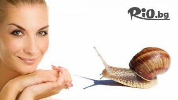 Студио Мери Ди - thumb 2