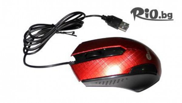 Диноел ЕООД - thumb 5