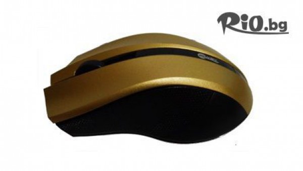 Диноел ЕООД - thumb 7