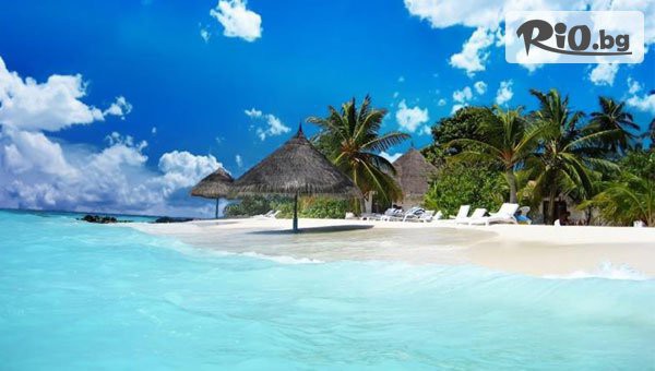 Арена Холидейз - thumb 8