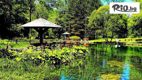 Джуанна Травел - thumb 3