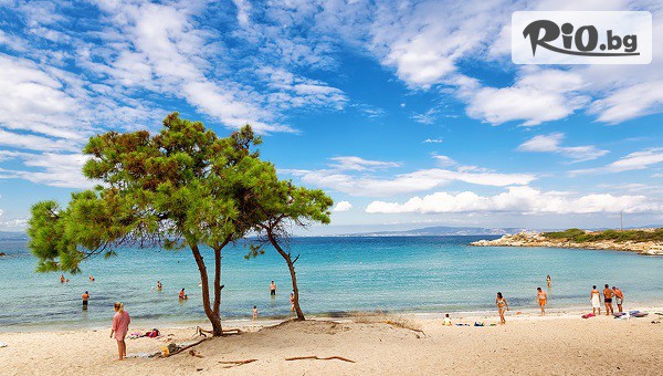 Йонека турс - thumb 2