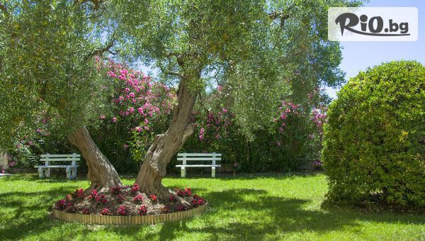 Теско груп - thumb 4