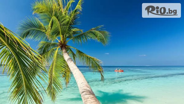 Арена Холидейз - thumb 2