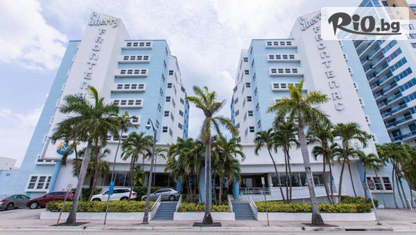 Арена Холидейз - thumb 6