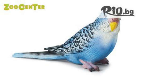 Зоомагазин ZooCenter - thumb 2