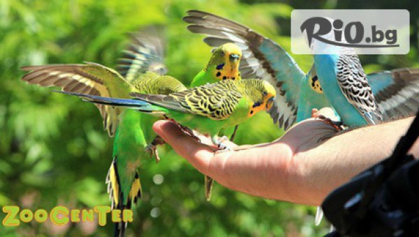 Зоомагазин ZooCenter - thumb 3