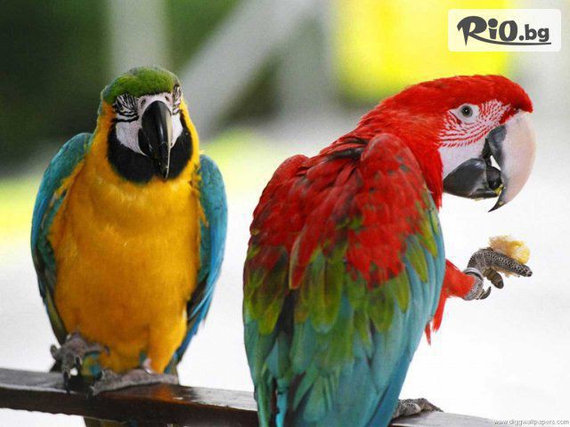 Зоомагазин ZooCenter - thumb 10 Зоомагазин ZooCenter - thumb 10