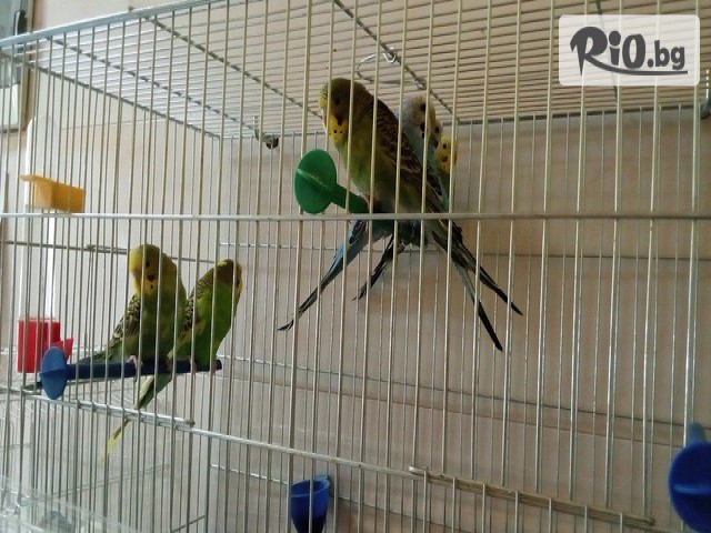 Зоомагазин ZooCenter - thumb 7 Зоомагазин ZooCenter - thumb 7