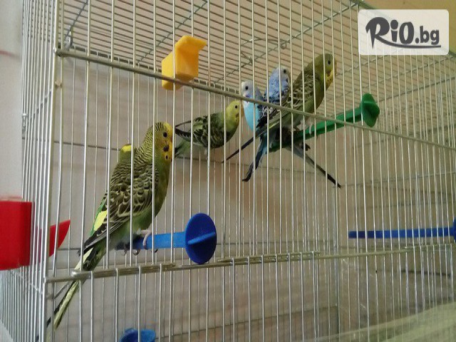 Зоомагазин ZooCenter - thumb 8 Зоомагазин ZooCenter - thumb 8