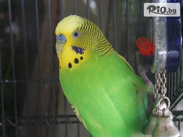 Зоомагазин ZooCenter - thumb 12 Зоомагазин ZooCenter - thumb 12