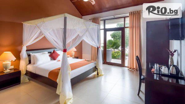 Далла Турс - thumb 6