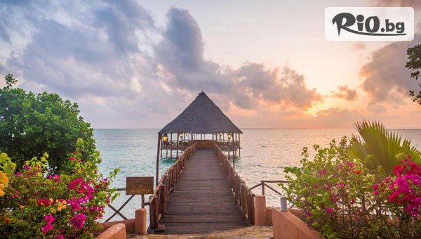 Далла Турс - thumb 4