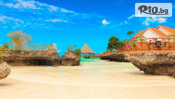 Далла Турс - thumb 3