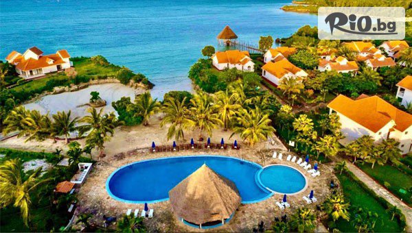 Далла Турс - thumb 2