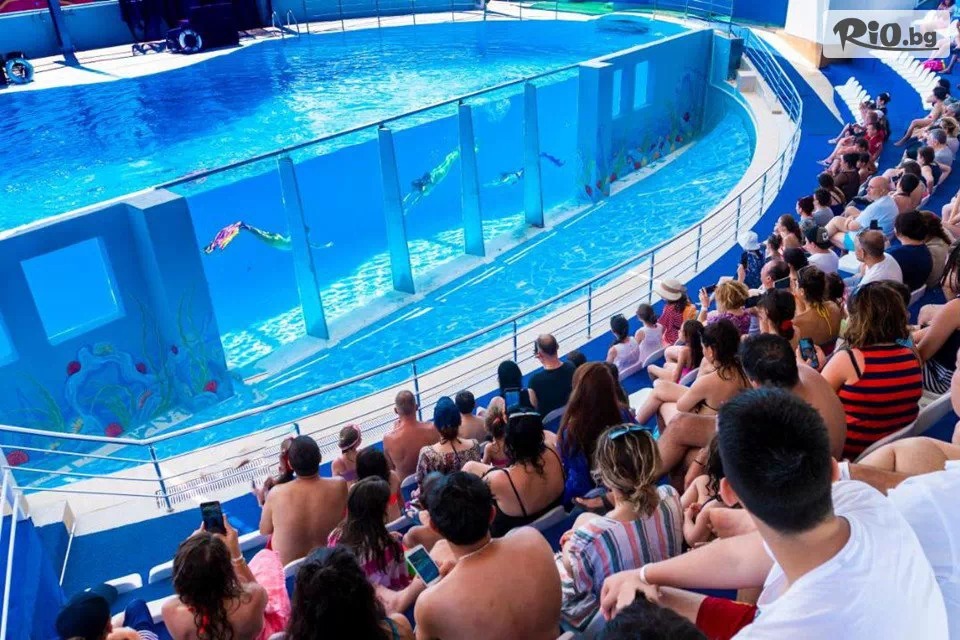 Go2holiday - thumb 11 Go2holiday - thumb 11