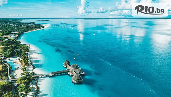 Далла Турс - thumb 2