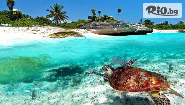 Далла Турс - thumb 7