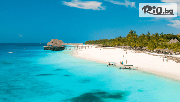 Далла Турс - thumb 8