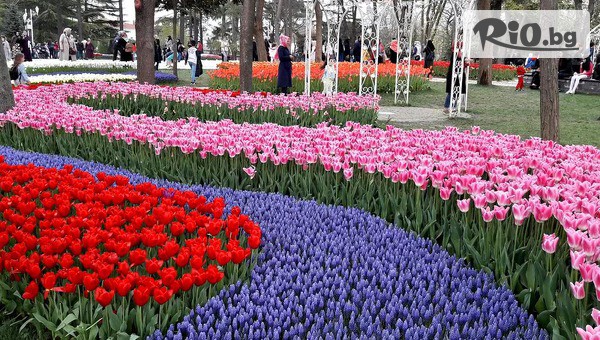 Спарк Травел - thumb 4