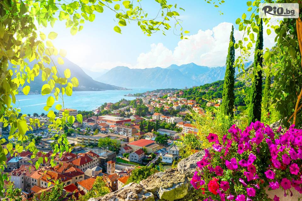 Вени Травел - thumb 6 Вени Травел - thumb 6