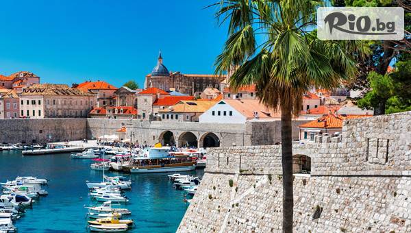 Вени Травел - thumb 2