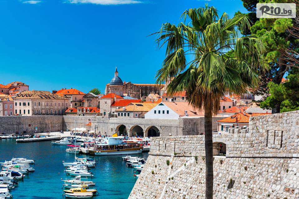 Вени Травел - thumb 9 Вени Травел - thumb 9