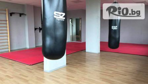 Архолл Арена - thumb 4