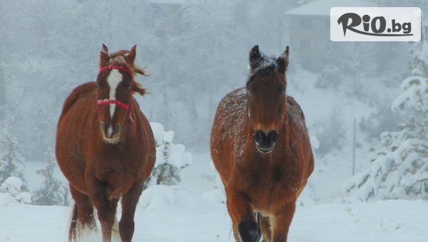 Ранчо Диви Родопи - thumb 2