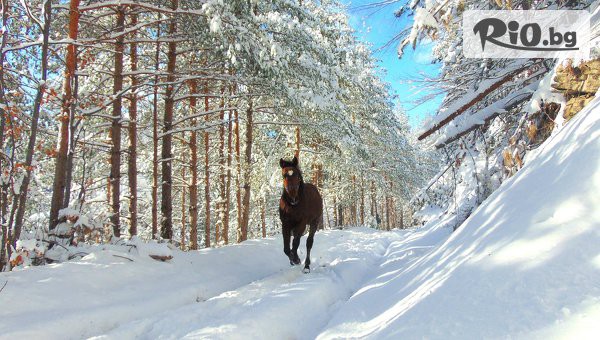 Ранчо Диви Родопи - thumb 3