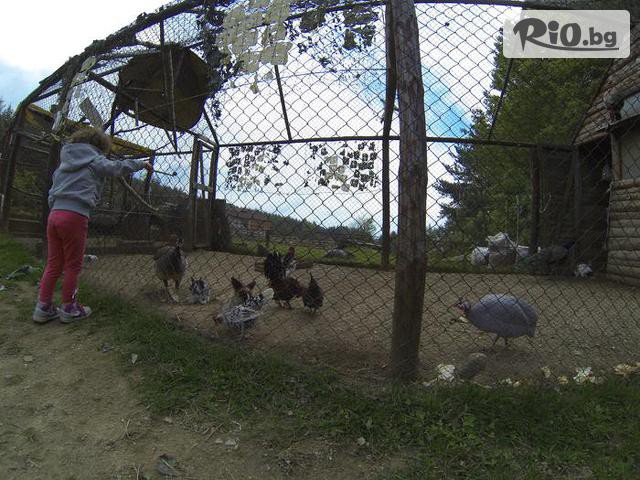 Приключенска къща Русалиите - thumb 12