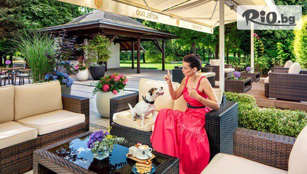 Mistral Travel & Events - thumb 3