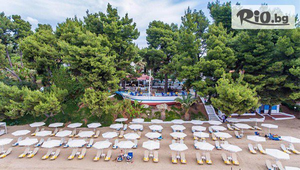 Солвекс - thumb 4