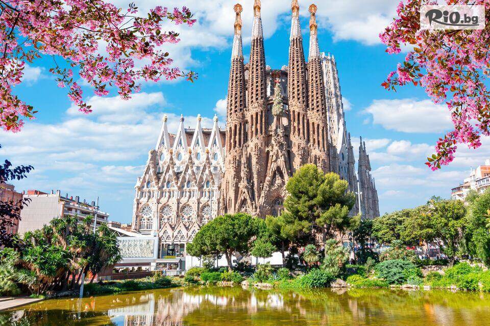 Океан Травел - thumb 6 Океан Травел - thumb 6